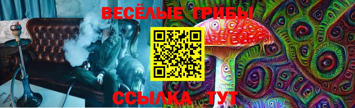 Тара  Галлюциногенные грибы GOLDEN TEACHER  Вход с VPN  Псилоцибиновые грибы мицелий 