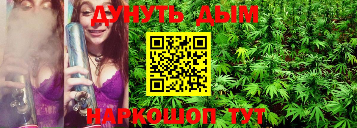 Каннабис сатива Тара